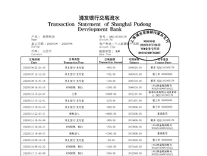 宁夏个人薪资流水制作